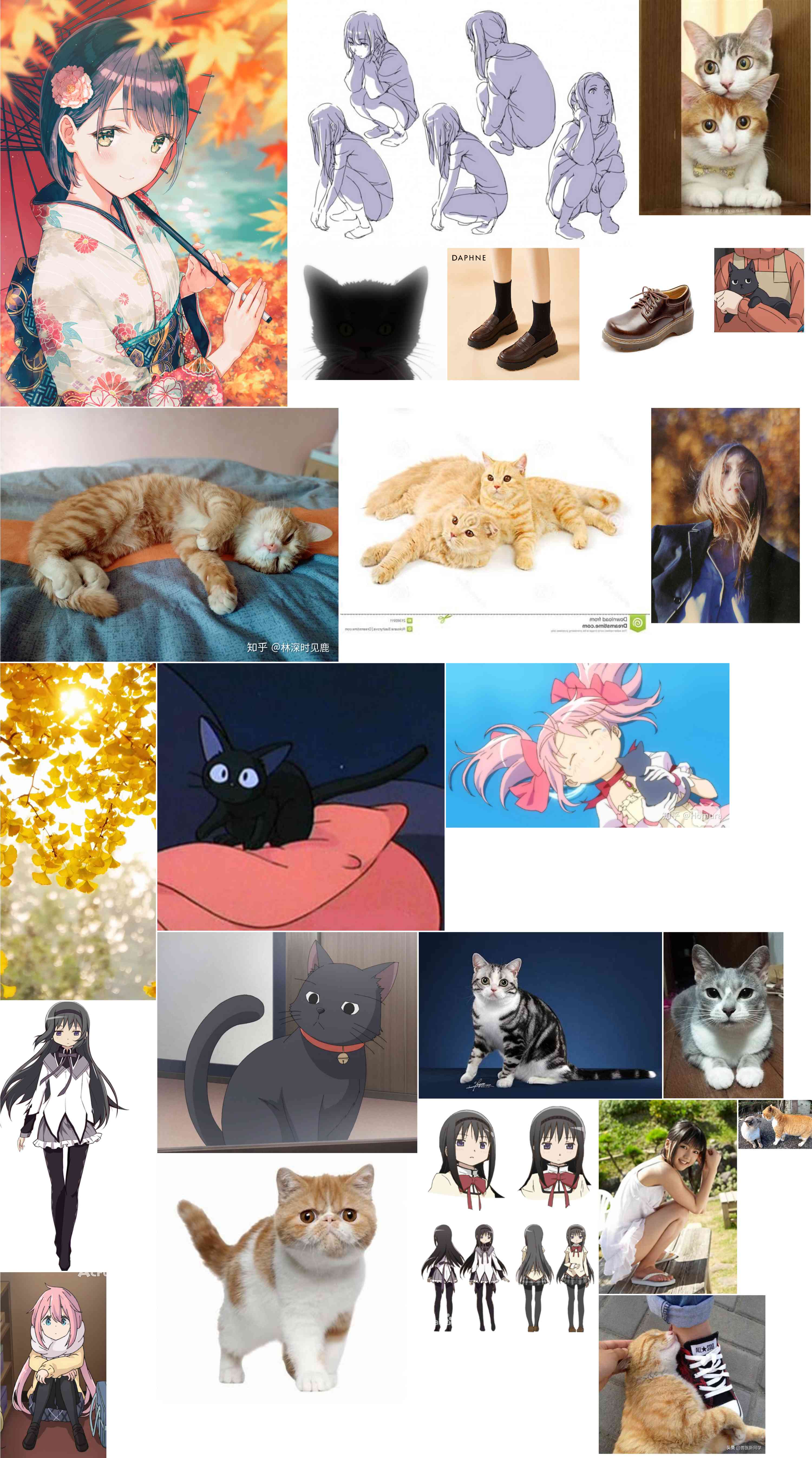 色彩L8晓美焰参考